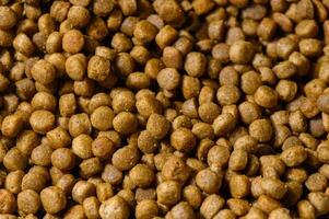 Pet food pellets scattered on a surface, highlighting the texture and color of nourishing bites photo