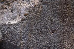 Intricate textures on ancient stone surface reveal a history of geological artistry and natural erosion photo