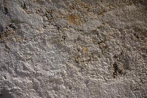 Textured wall with intricate patterns and subtle hues showcasing nature's artistry at dusk photo