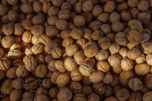 Shelled walnuts gathered on a wooden surface during the harvest season in the sun's warm glow photo