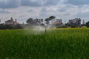 Irrigation systems bring life to green fields under a cloudy sky in a tranquil rural area photo