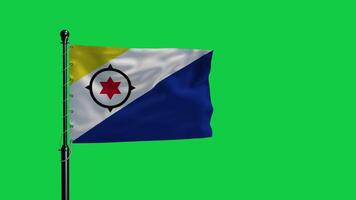 Flag of the republic of congo waving in the wind on green screen video