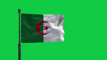 The flag of algeria waving in the wind on a green screen video