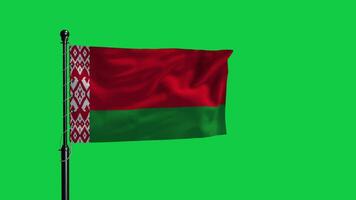 The flag of belarus waving in the wind on a green screen video