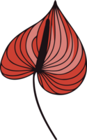 Flamingo Flower Bloom with Green Leaves, Laceleaf Bloom with Green Foliage. Spathiphyllum line art floral, black and white illustration Anthurium decorative elements of plants Aglaonema, Calla png
