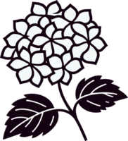 Hydrangea Plant Illustrations. Geranium line art floral, black and white illustration, decorative elements of plants stylized Rhododendron flowers png