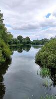 View of a beautiful lake in the forest among green trees with beautiful reflection, in summer.Vertical wide photo