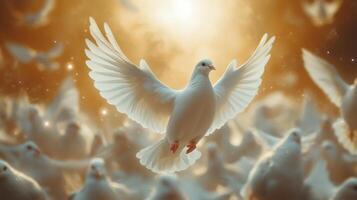 White dove flying in the air with many other birds photo