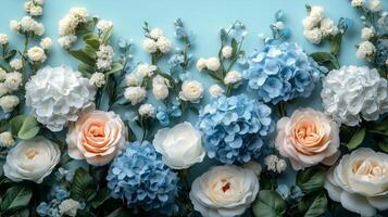 Flowers on blue background photo