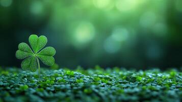 Saint Patrick's day background with sprayed green clover photo