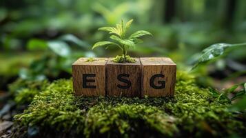 Esg is a new way to measure the environmental impact of your business photo