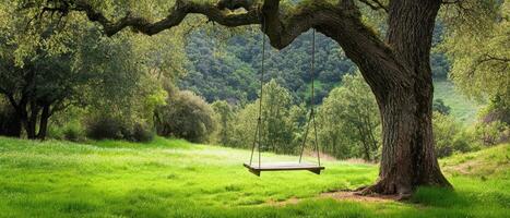 A serene landscape featuring a swing hanging from a lush tree, set against a backdrop of rolling green hills and gentle foliage. photo