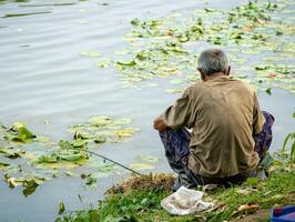 A contemplative elderly man sits by a serene lake, fishing amidst lush water lilies, enjoying the tranquility of nature. photo