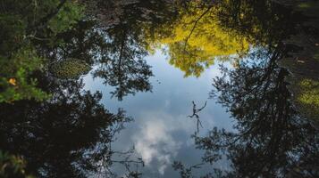 A serene reflection of trees and clouds in a calm water body, showcasing vibrant yellow leaves and a peaceful natural setting. photo