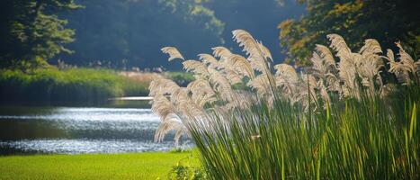 Lush greenery beside a serene lake, featuring tall grasses swaying gently in the breeze under soft sunlight. photo
