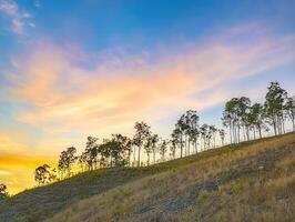 A serene landscape featuring a hillside dotted with trees under a colorful sunset sky, creating a tranquil atmosphere. photo