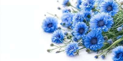 Blue flowers arranged beautifully on a white surface create a vibrant and calming atmosphere for any setting photo