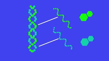 A high-tech DNA matrix with digital symbols, emphasizing the fusion of genetics with artificial intelligence and computational biology video