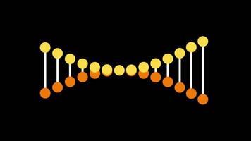 A wave-like DNA structure made of interconnected dots, symbolizing fluidity and movement in genetic information and bioinformatics video