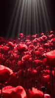 Vibrant red poppy field illuminated by soft sunlight in a serene natural setting photo