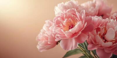 Delicate pink peonies displayed artistically against a warm, neutral background creating a serene and elegant atmosphere photo