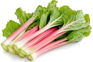 Fresh rhubarb stalks with green leaves lying on white background photo