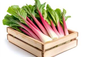 Fresh rhubarb stalks with leaves inside wooden crate on white background photo