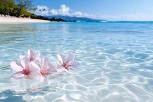 Pink flowers floating on crystal clear water in tropical beach photo