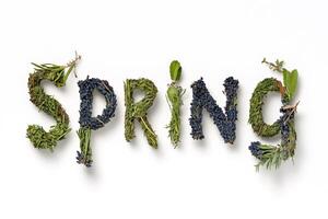 Spring is coming, enjoying nature with herbs and flowers forming the word spring photo