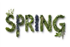 Spring is written with plants and flowers on a clean white background photo