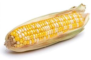 Fresh corn cob partially peeled showing yellow kernels on white background photo