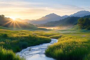 Sun shining over wildflowers and stream flowing through green valley photo