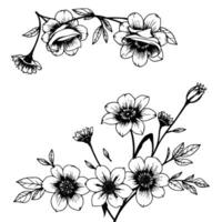 intricate floral illustration in black ink, featuring detailed blooms and botanical elements with a classic aesthetic, arranged in a delicate composition against a pristine white backdrop. vector
