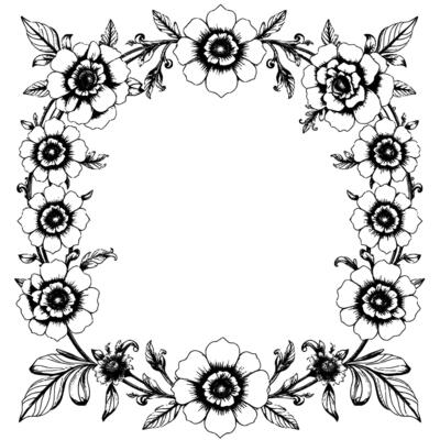 intricate floral frame illustration, featuring detailed line art of stylized anemonelike flowers, leaves and ornamental vines, isolated on white.