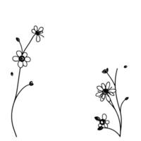 minimalist floral illustration delicate black line art of two stalks with simple daisies and buds on a white background. vector