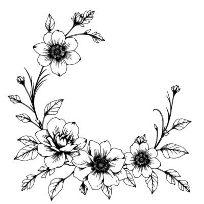 elegant black and white floral border handdrawn art with detailed anemonelike blooms and leaves, set against a clean white background.
