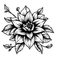 intricate, bold black and white illustration of a dahlia flower with detailed petals, leaves, and buds on a crisp white background. vector