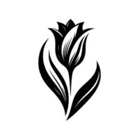A stylized black and white tulip illustration with long leaves, creating a simple, elegant, and botanical on a white background. vector