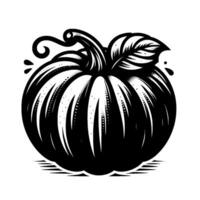 A detailed black and white illustration of a round pumpkin, featuring distinct textured segments, a curly stem, and a single leaf, on a pristine white background. vector