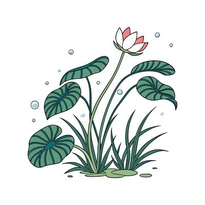 Serene Aquatic Plant Illustration Design