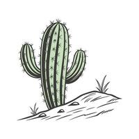 Charming Barrel Cactus Unique Botanical Design vector