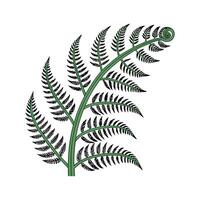 Charming Curly Fern Plant Illustration vector
