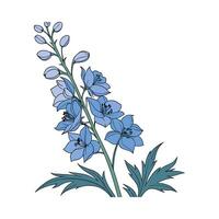 Stylish Delphinium Plant Unique Design vector