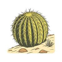 Distinctive Golden Barrel Cactus Unique Design vector