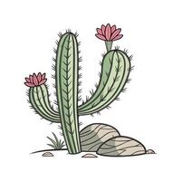 Distinctive Grafted Cactus Unique Design vector
