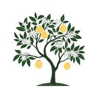 Charming Grapefruit Tree Illustration vector