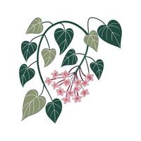 Elegant Hoya Unique Design vector