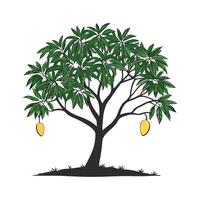 Creative Mango Tree Design vector