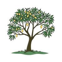 Beautiful Mango Tree Illustration vector