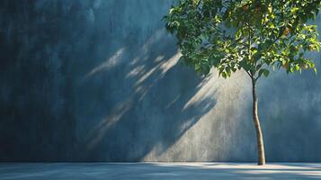 A tree is standing in front of a wall, casting a shadow on the ground photo